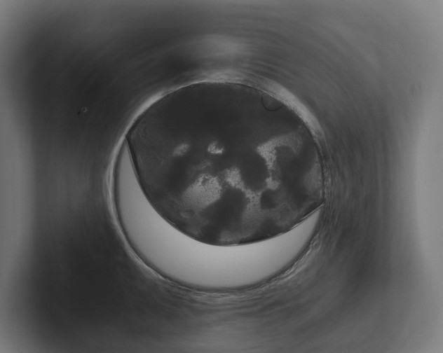 X0000102301095200808011357