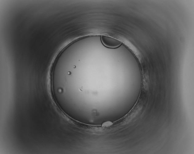 X0000102301096200808011357