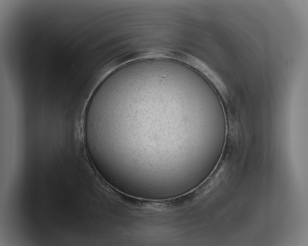 X0000102301097200808011357