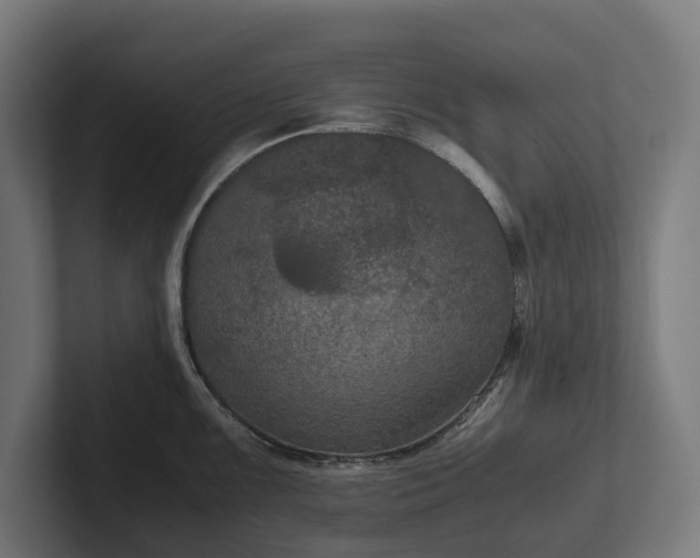 X0000102301099200808011357