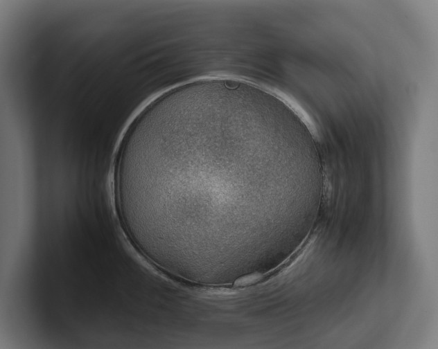 X0000102301100200808011357