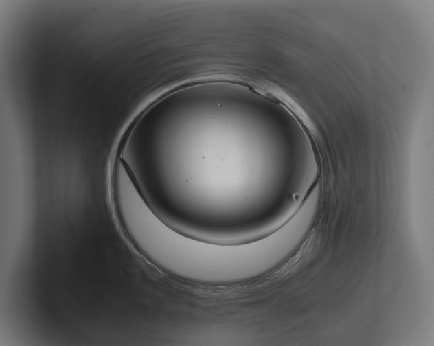 X0000102301101200808011357