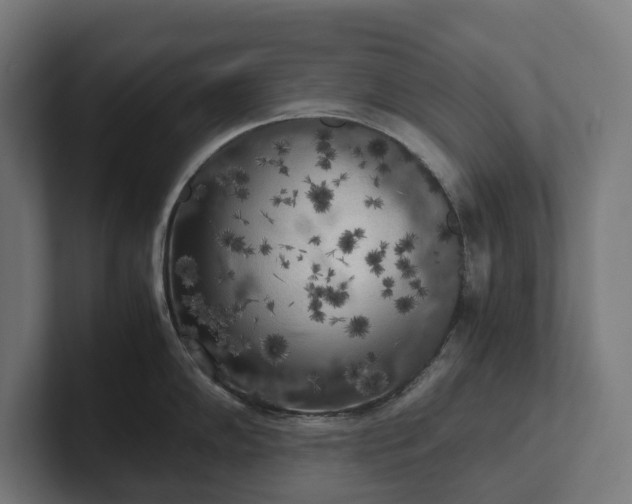 X0000102301102200808011357