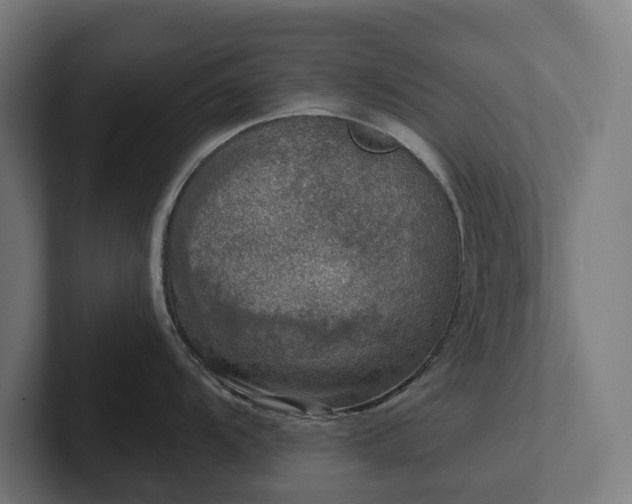 X0000102301104200808011357