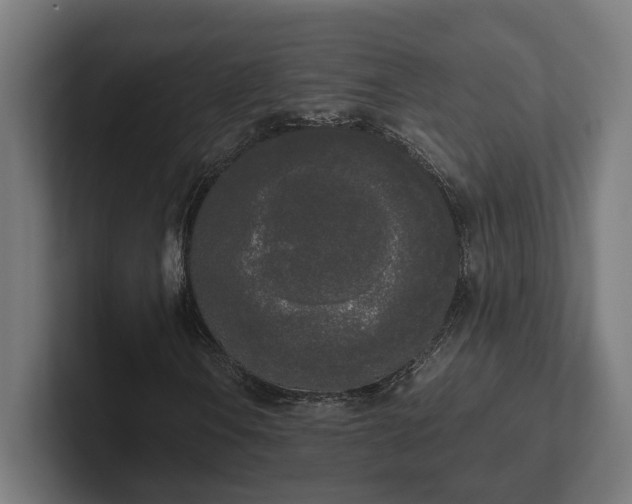 X0000102301106200808011356