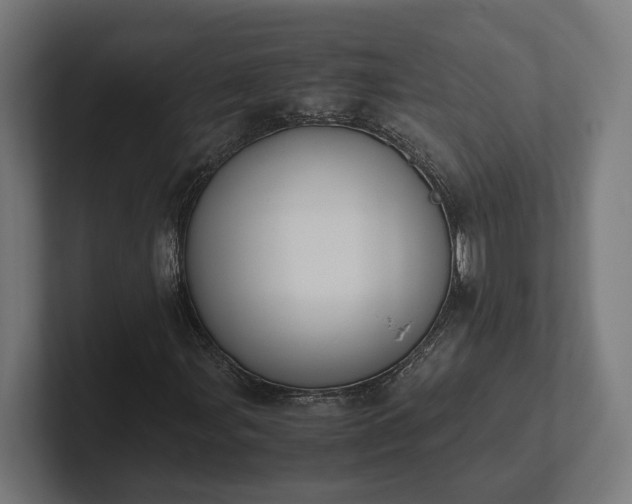 X0000102301107200808011356