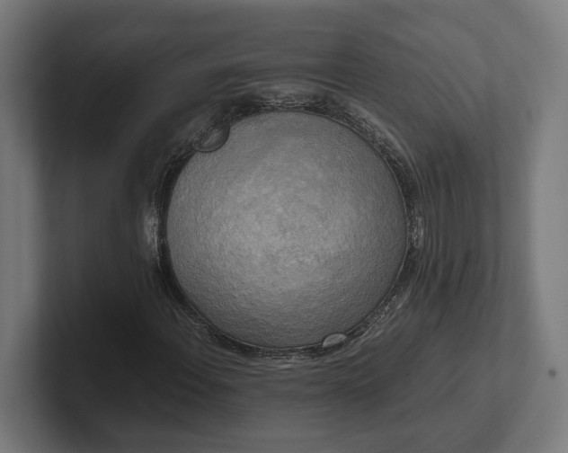 X0000102301108200808011356