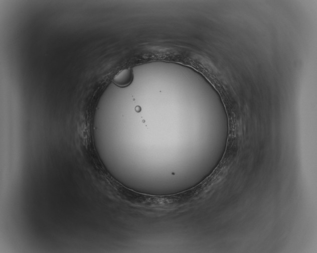 X0000102301109200808011356