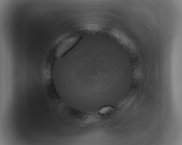 X0000102301110200808011356