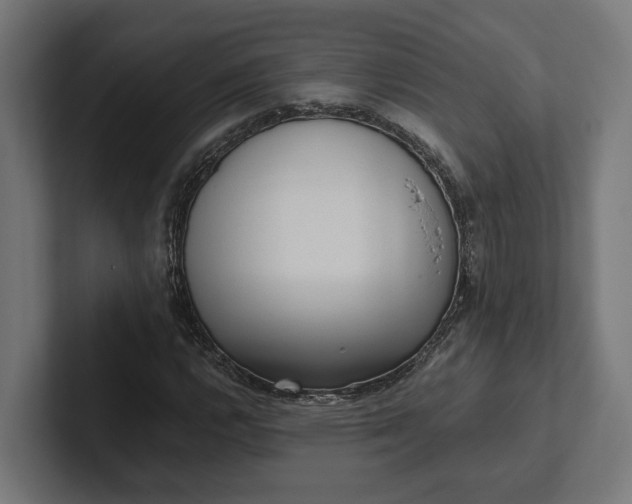 X0000102301112200808011356