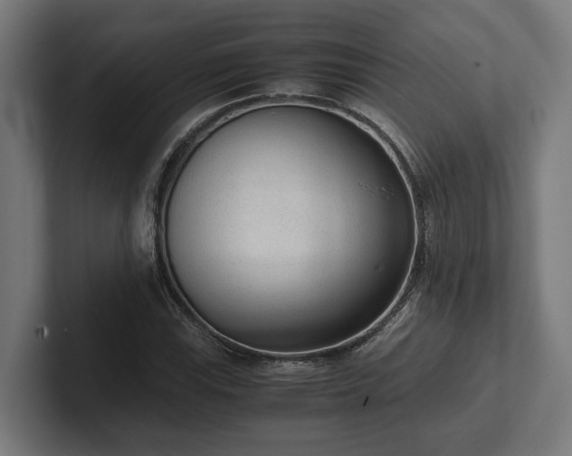 X0000102301115200808011357