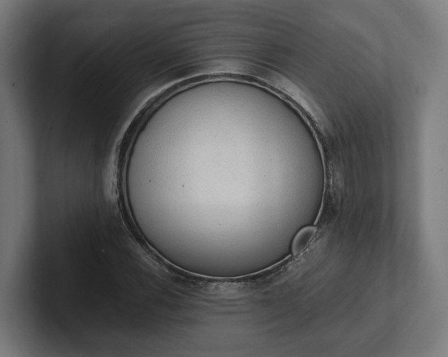 X0000102301116200808011357