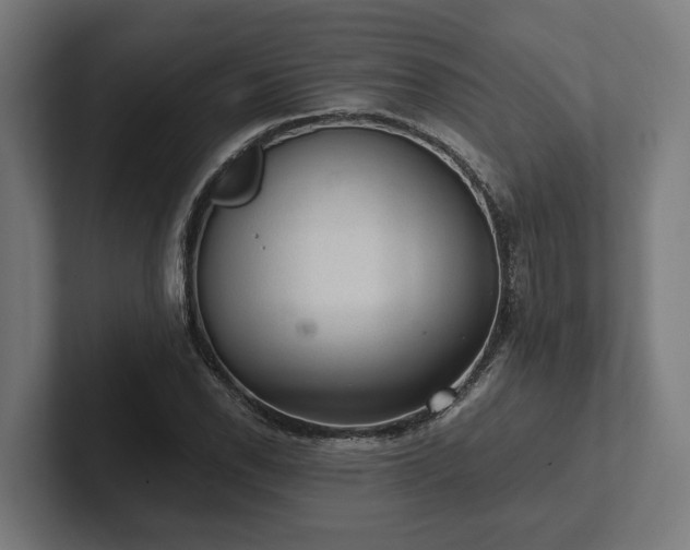 X0000102301118200808011357