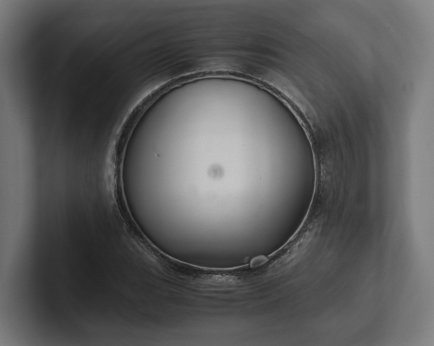 X0000102301119200808011357