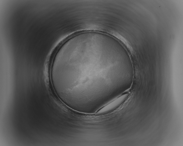 X0000102301120200808011357