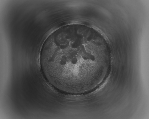 X0000102301121200808011357