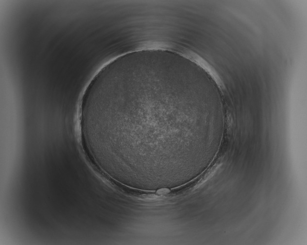 X0000102301124200808011357