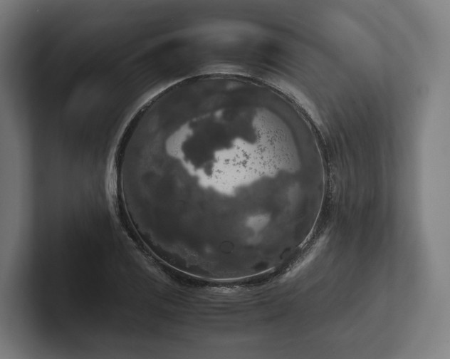 X0000102301125200808011357