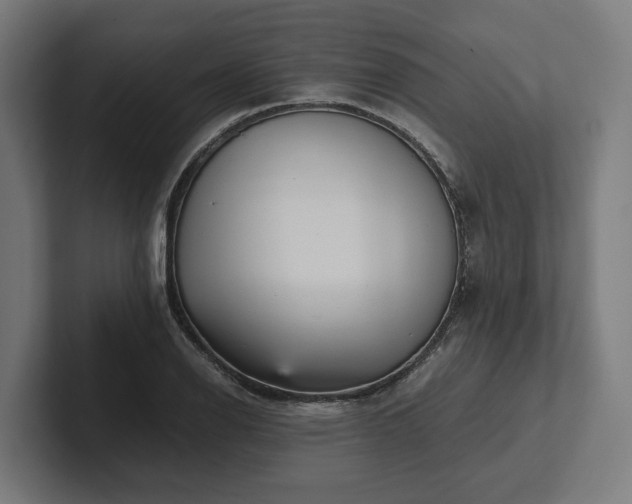 X0000102301126200808011357