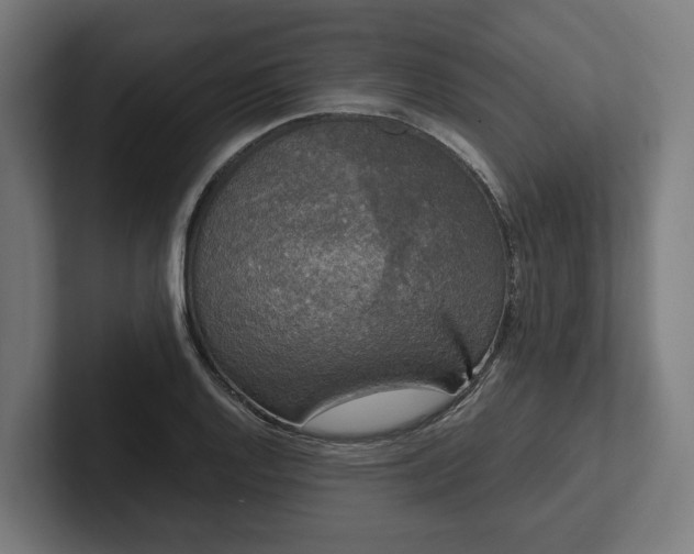 X0000102301128200808011357