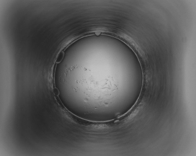 X0000102301129200808011357