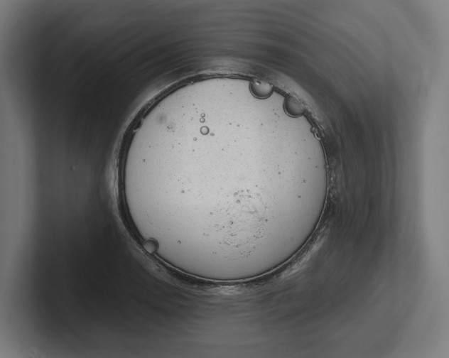 X0000102301130200808011357