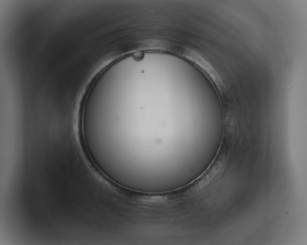 X0000102301135200808011357