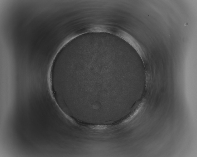 X0000102301141200808011357