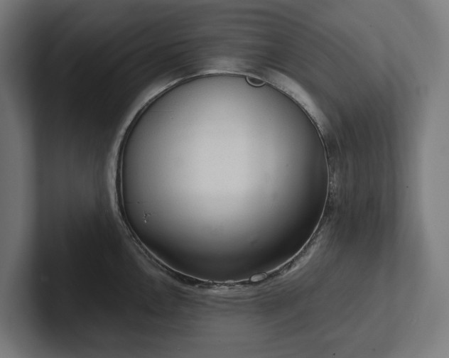 X0000102301146200808011357