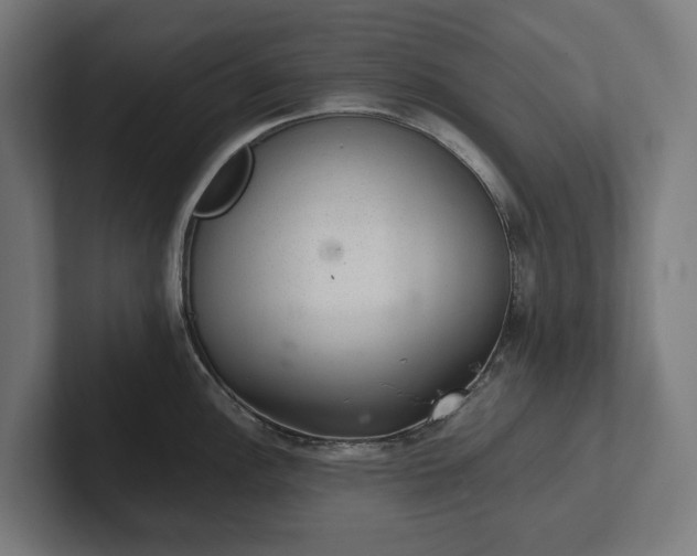 X0000102301148200808011357