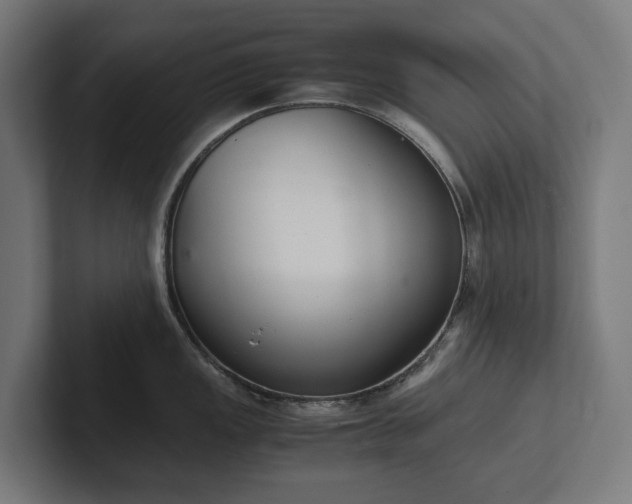 X0000102301149200808011357