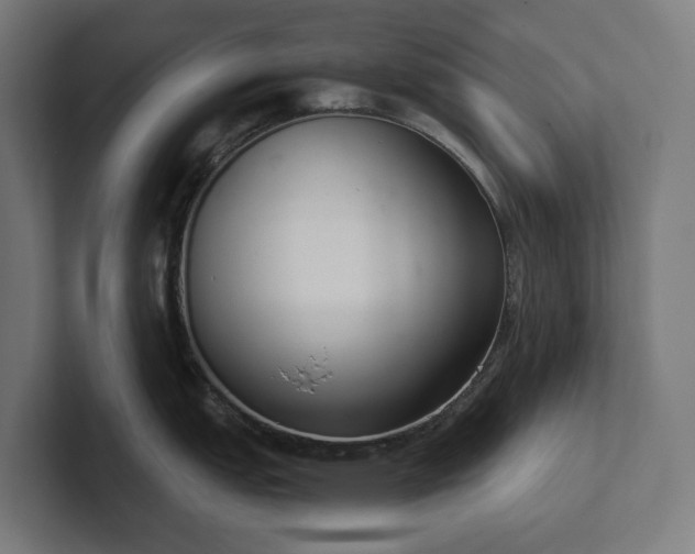 X0000102301151200808011357