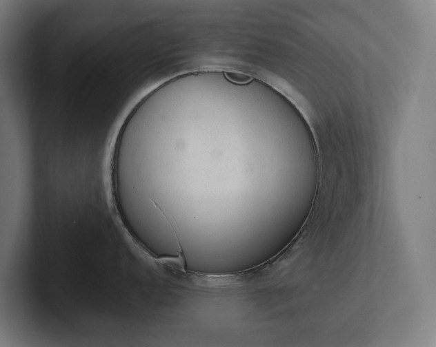 X0000102301152200808011357