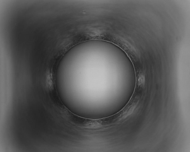 X0000102301156200808011356