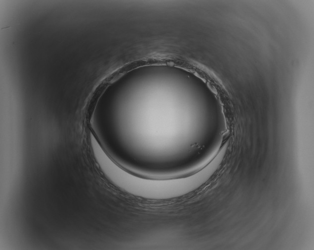 X0000102301160200808011356