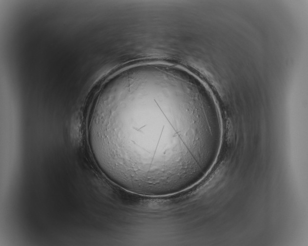 X0000102301163200808011356