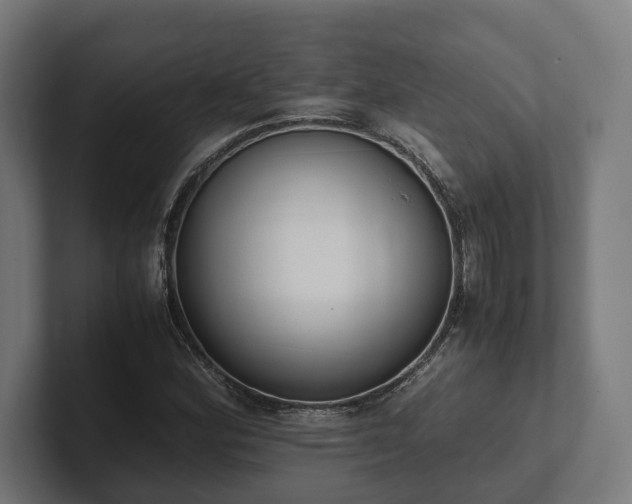 X0000102301164200808011356