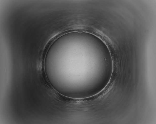 X0000102301166200808011356