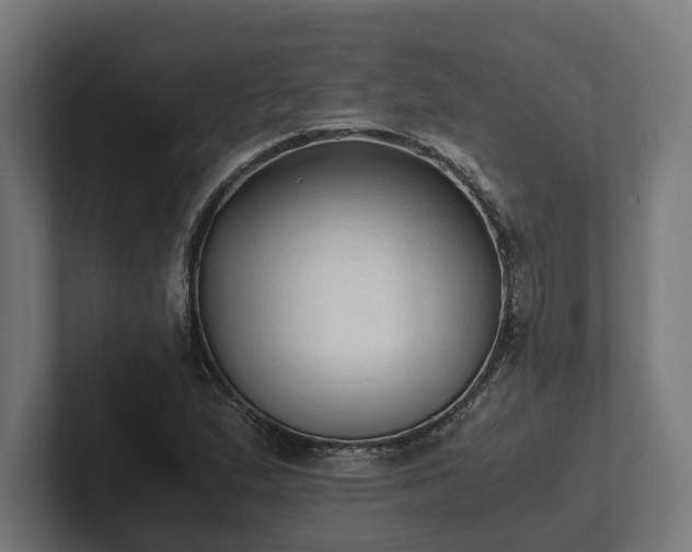 X0000102301167200808011356