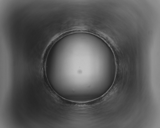 X0000102301168200808011356