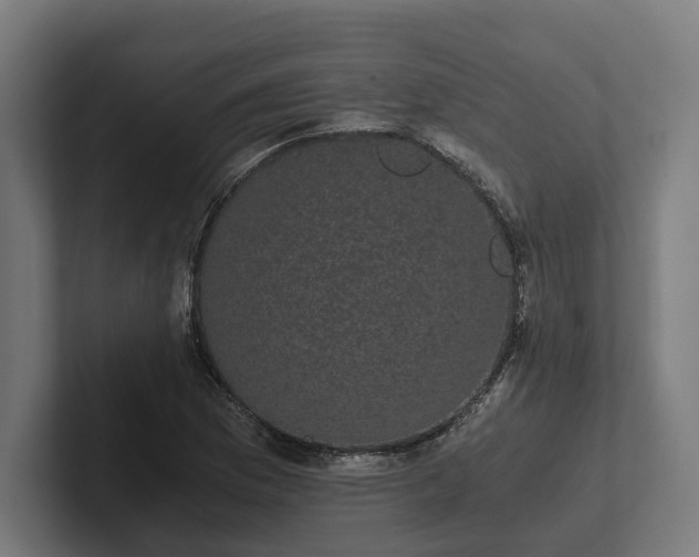 X0000102301169200808011356