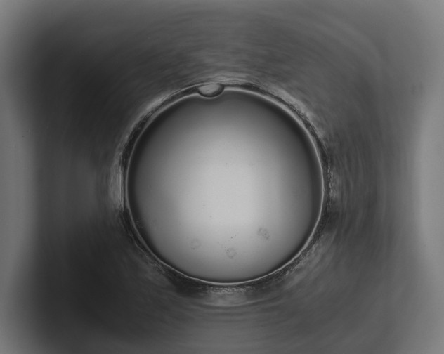 X0000102301171200808011356