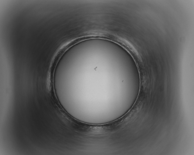 X0000102301172200808011356