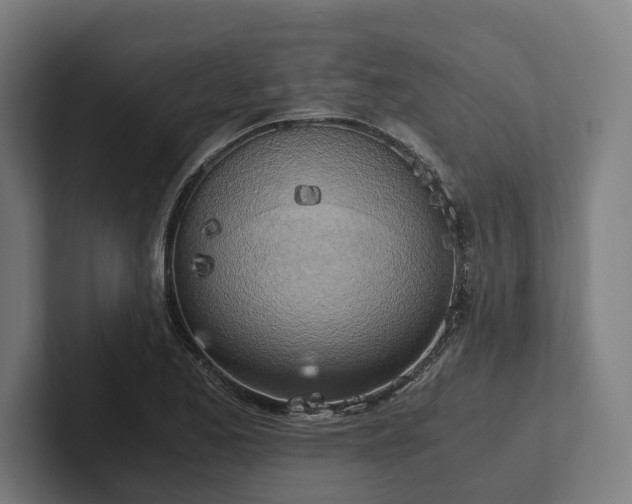 X0000102301173200808011356