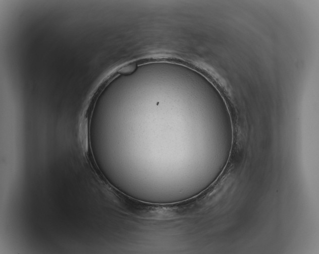 X0000102301175200808011356