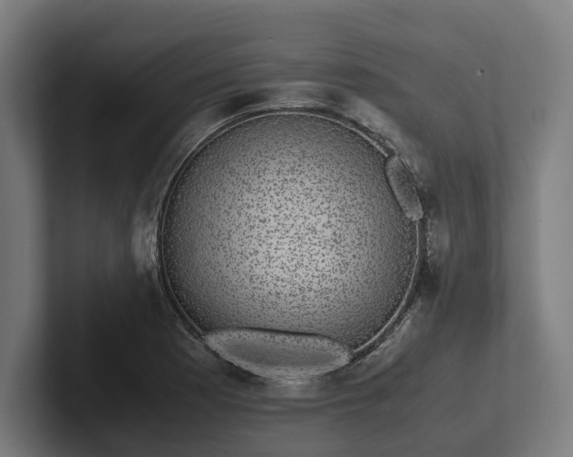 X0000102301177200808011356