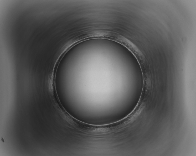 X0000102301178200808011356