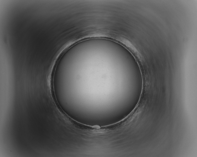 X0000102301181200808011356