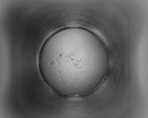 X0000102301183200808011356