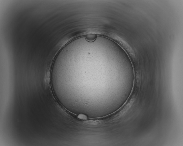 X0000102301185200808011356